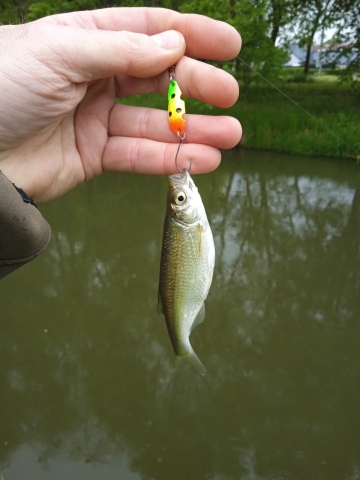 IMG_20260517_144133.jpg