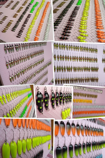 IMG_20250425_115159-COLLAGE.jpg
